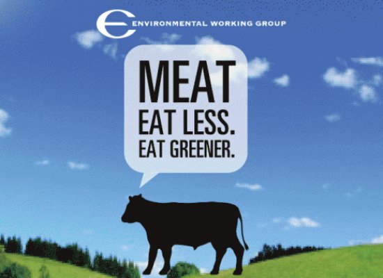  Why eat less meat 